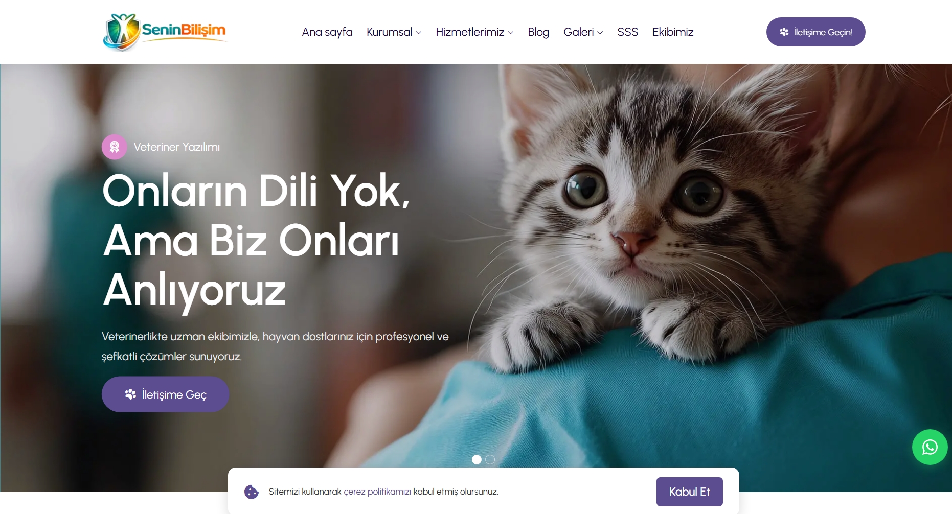 Veteriner Hazır Scripti 